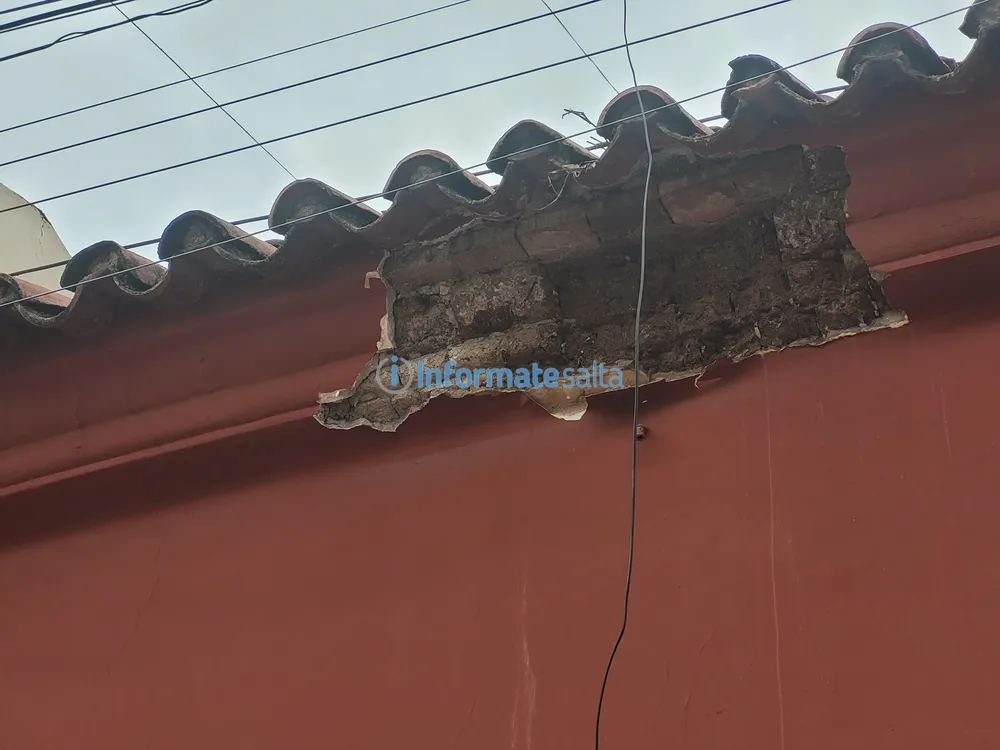 WhatsApp Image 2024-12-08 at 13.31.12 (1)