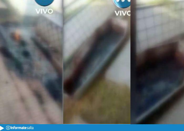 Ataúd fuego Tartagal