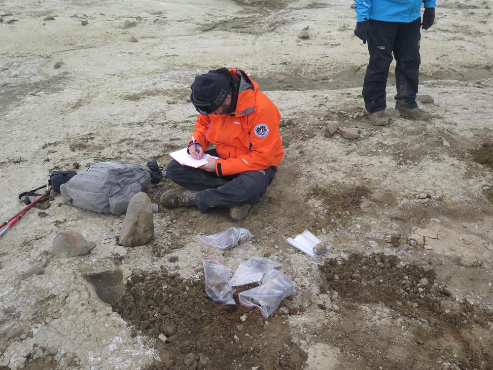 Plesiosaurio argentino 3