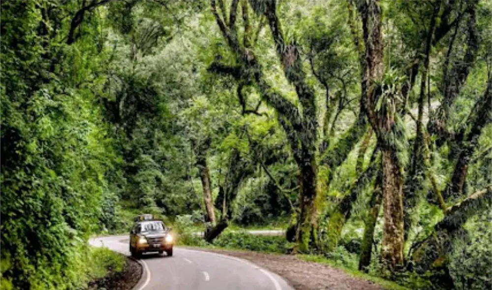 multimedia.normal.b6b8bdc7b81b8daa