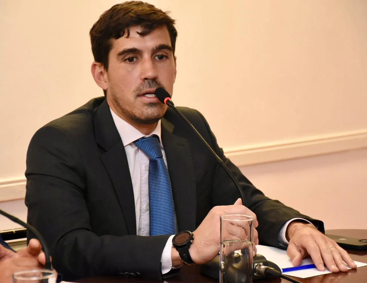 minería senadores cámara de minería de salta juan martín gilly