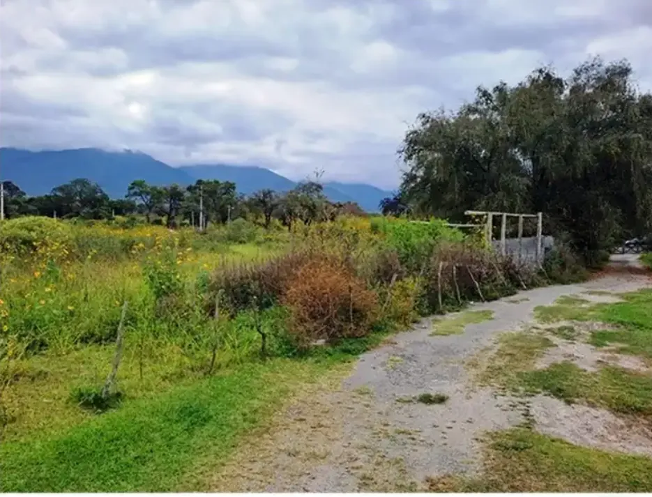 FINCA LAS MERCEDES 2