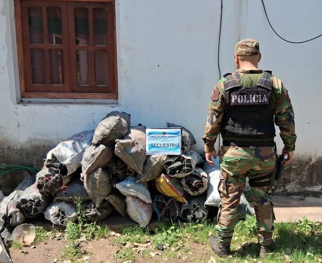 Cargamento ilegal de carbón 02