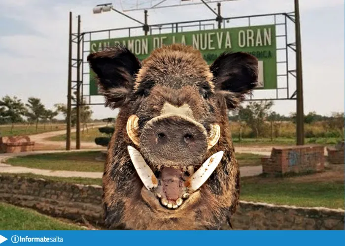 WhatsApp Image 2025-01-15 at 08.25.37 (1)