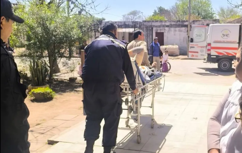 rdlf ventana maestra