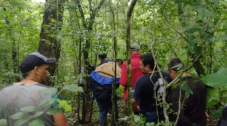 procedimientoelgalpón2