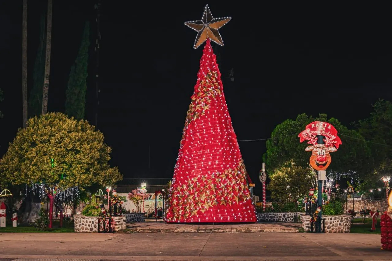 Arbolito Coronel Moldes