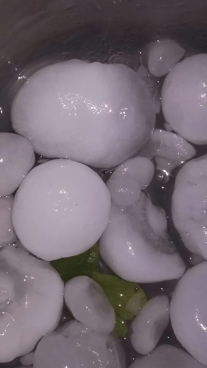 WhatsApp Image 2018-01-05 at 18.05.31