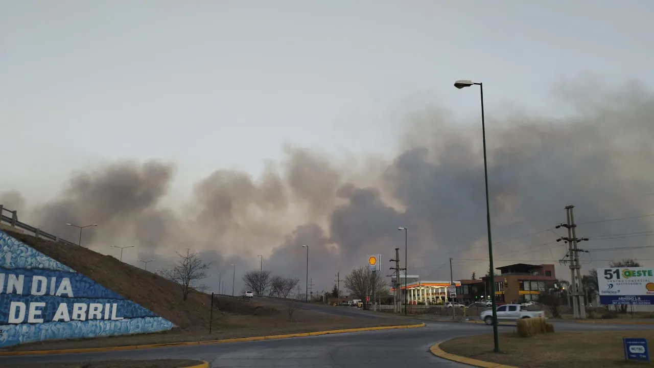 6d916837-4c35-4f29-941a-cf9c5f3623da