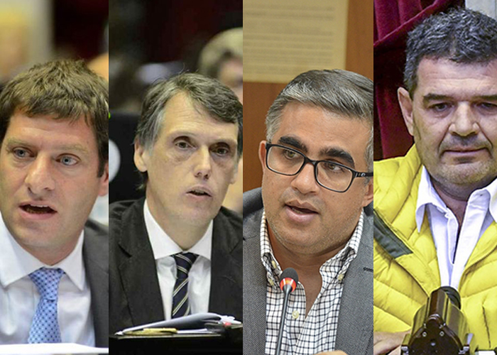 david-kosiner-nanni-olmedo