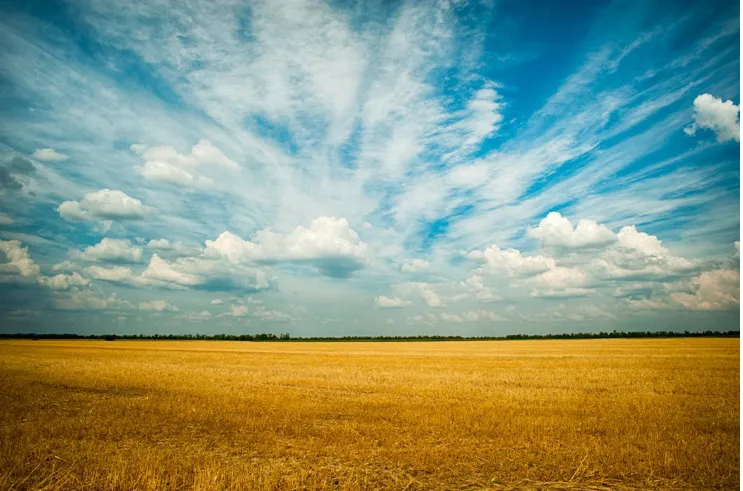 campo suelo y agua 2