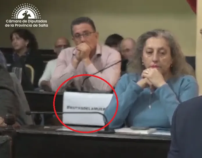 diputados carteles 3