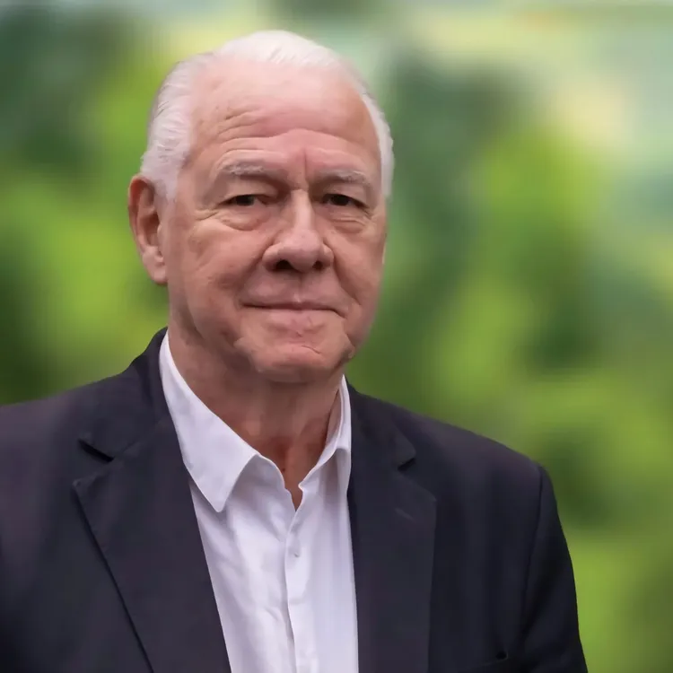 fernando de san román