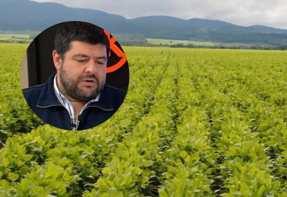 chavarría campo prograno