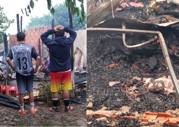 carne de gato carniceria (3)