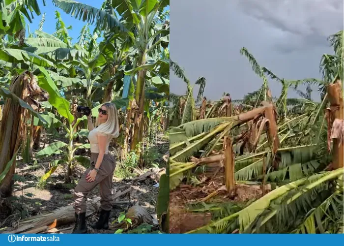 wanda nara bananal colonia santa rosa