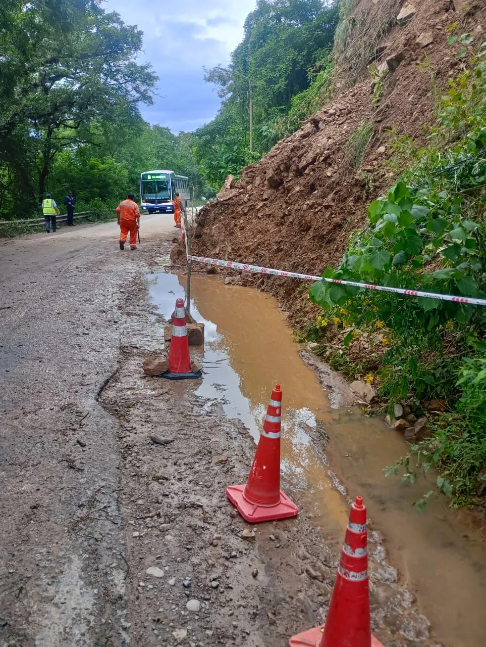 WhatsApp Image 2026-01-23 at 11.20.46