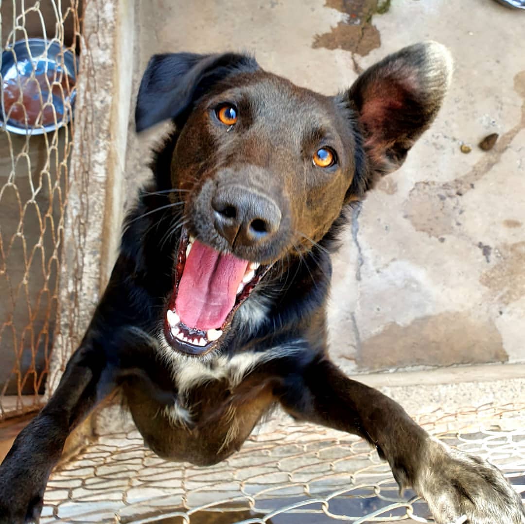 302279da-aba8-4968-89f8-7f75ca10ba91