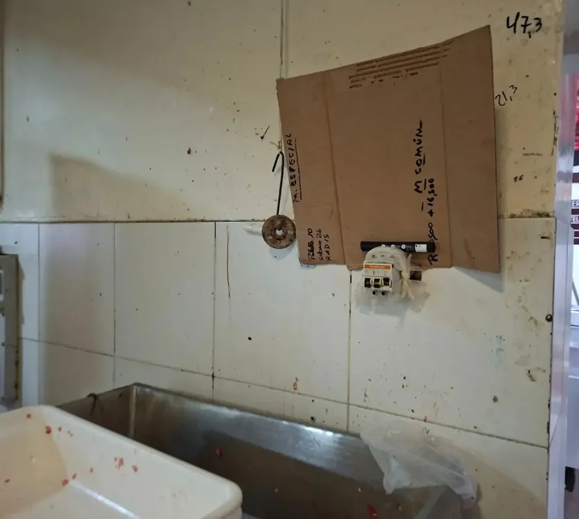 inspección trabajo5