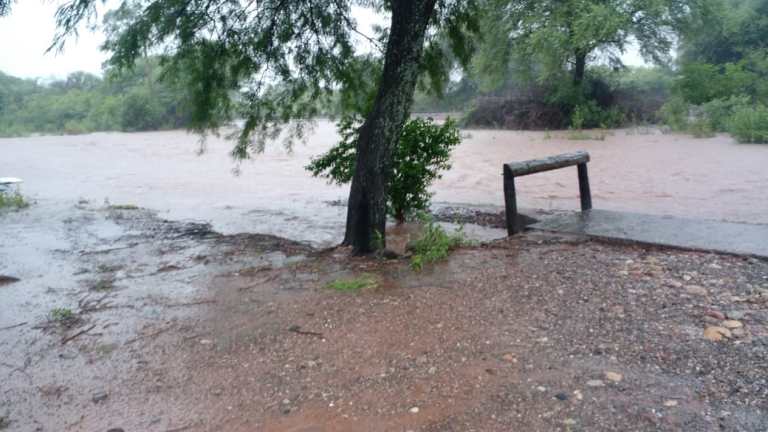 Apolinario Saravia nueva lluvia