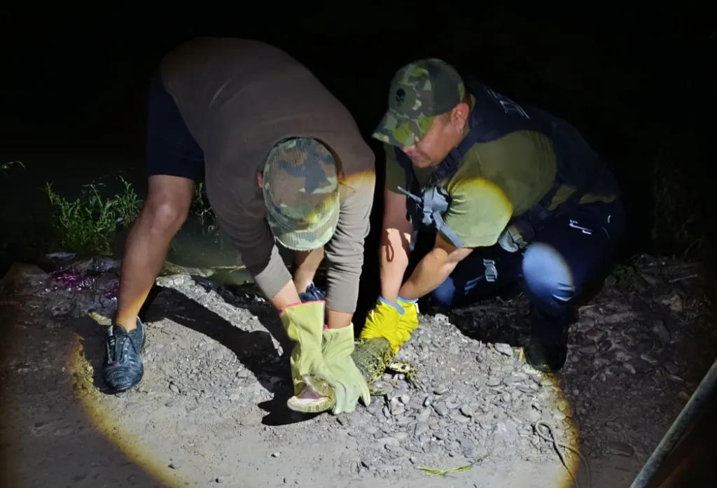 yacaré zona oeste secuestro3