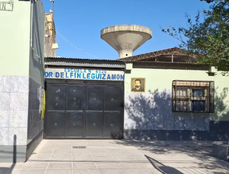 escuela delfín