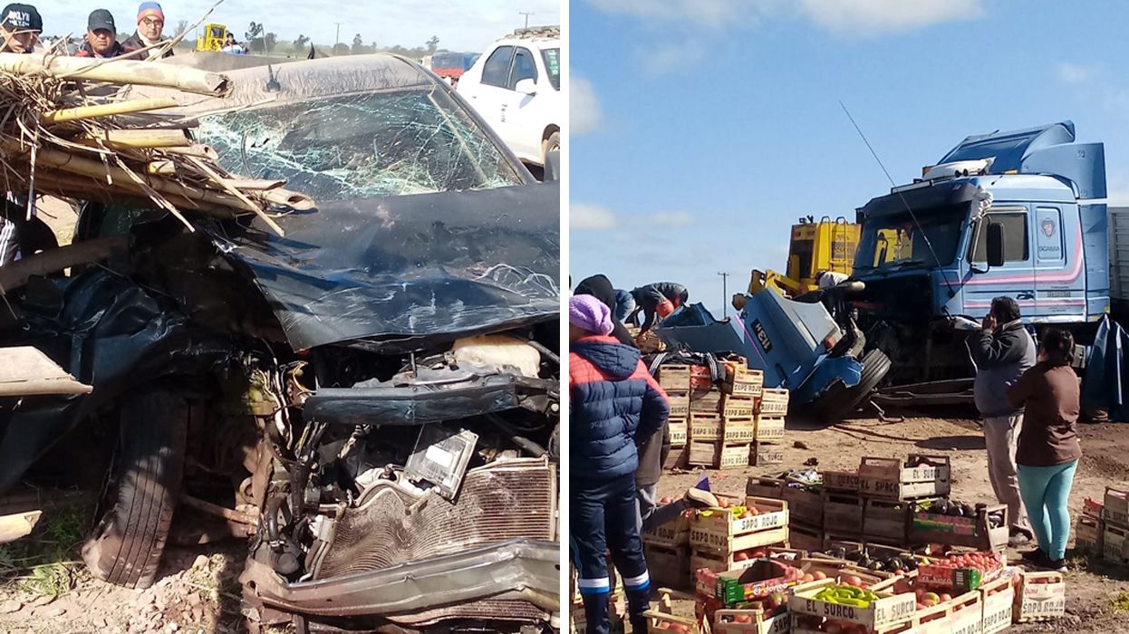 57457066_2353992564664799_1518375727748087808_n