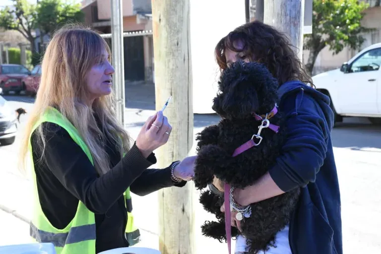 Vacunacion antirrabica