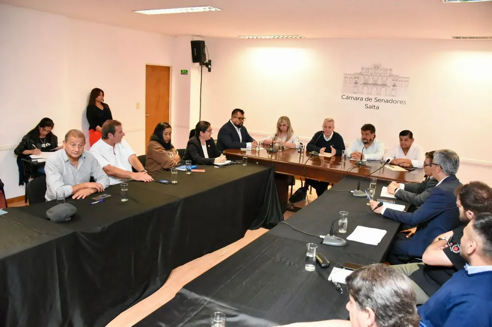 gerentes en el senado 2