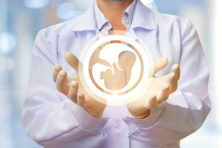 La Corte cuestiona una ley provincial que limita el número de intentos para fertilización asistida