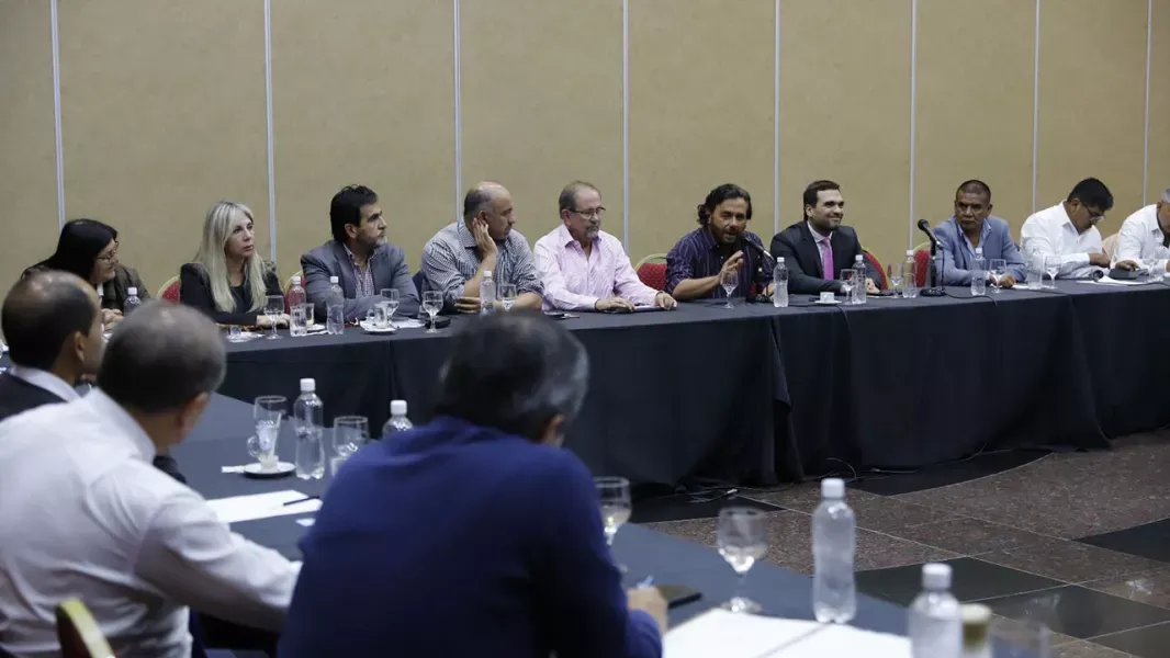 senadores saenz prespuesto c2