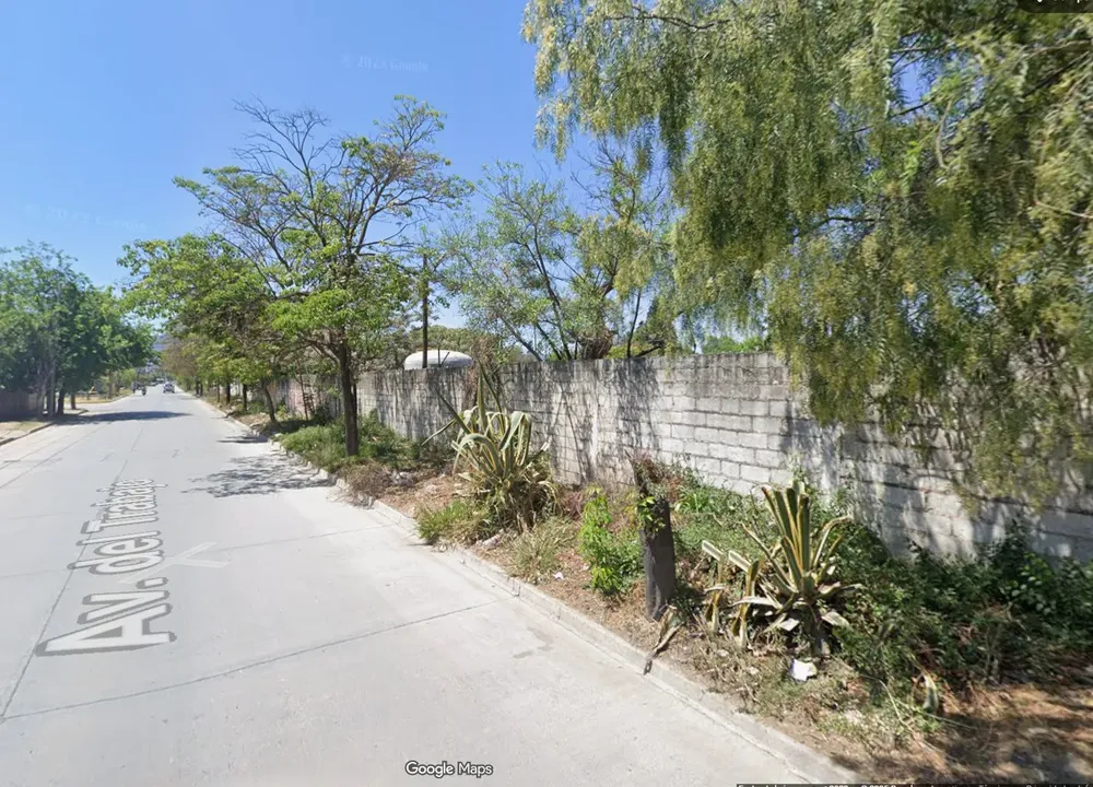 veredas sociedad rural 2