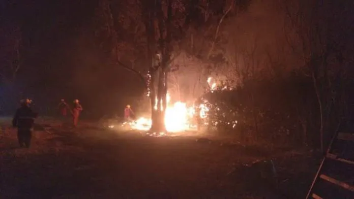 Incendios forestales 02