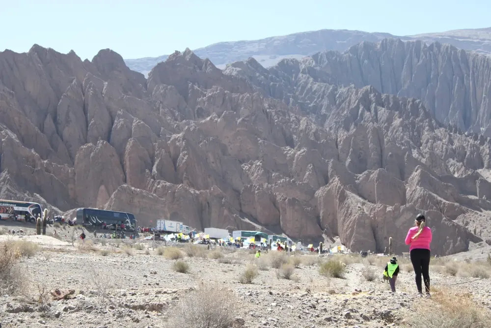 pereginarios mina patito3