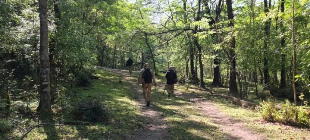 rastrillaje cordeyro