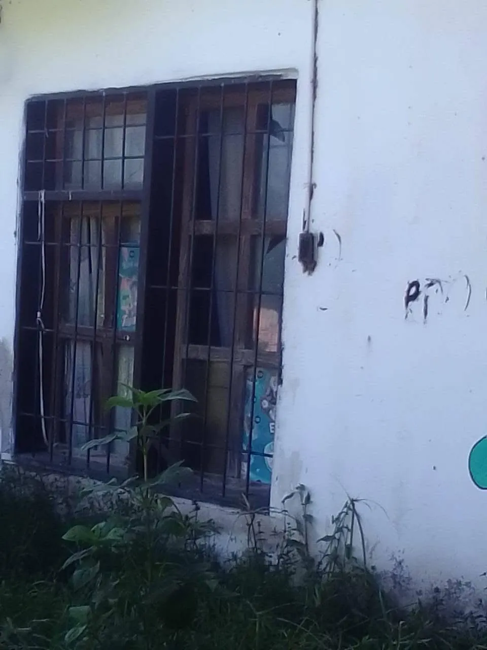 WhatsApp Image 2025-03-12 at 11.17.32 AM