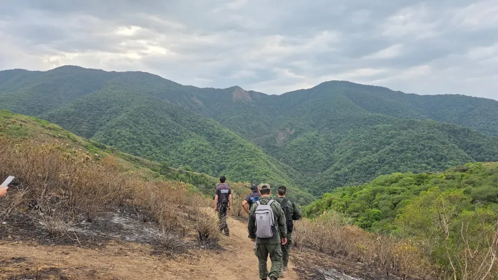 investigación cordeyro 2