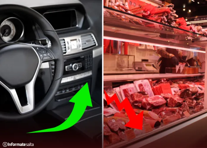 orozco zapara moreno campo (1)