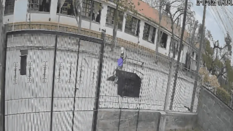 Chico del machete quijano