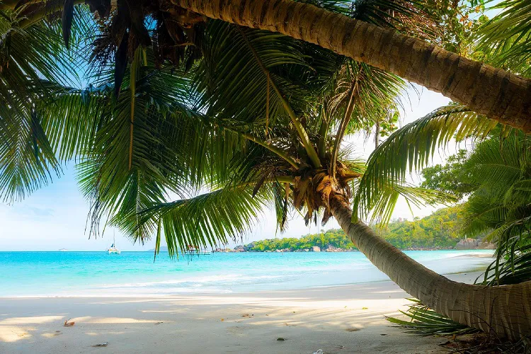 playa verano vacaciones