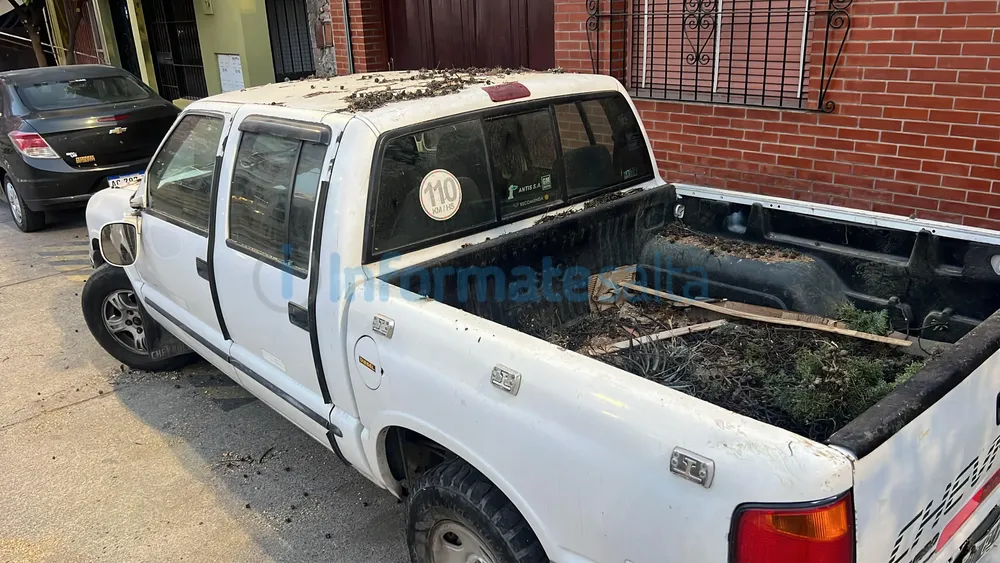 camioneta arbol caido