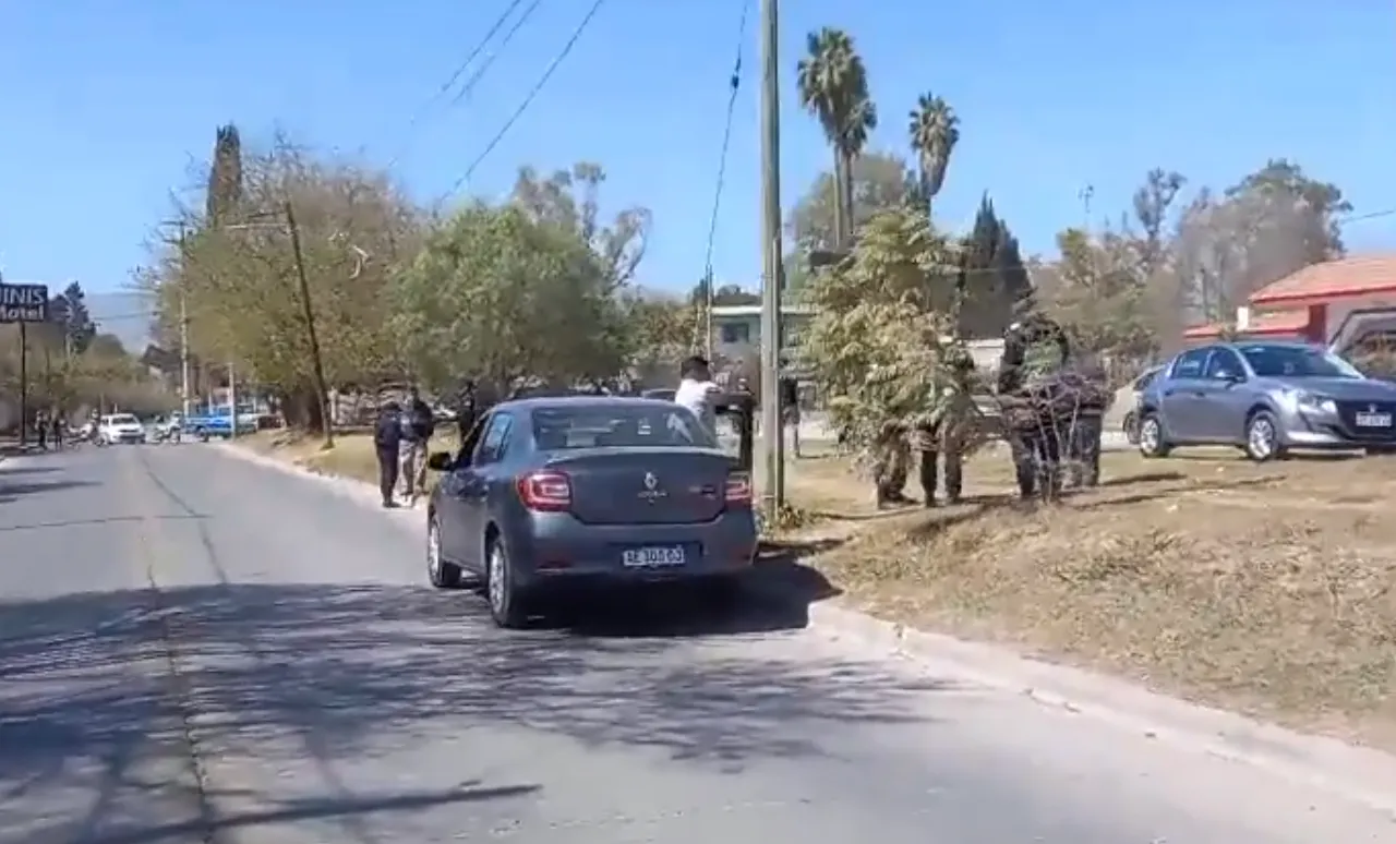 Accidente Gato y Mancha