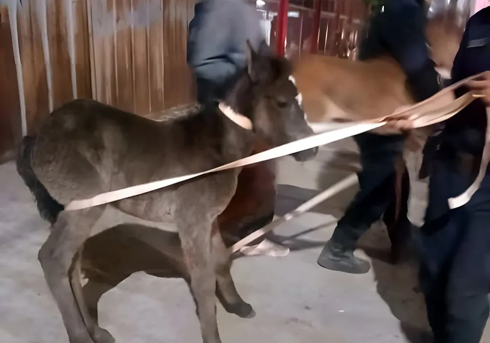 461938693_959891746176784_6245634921320876228_n