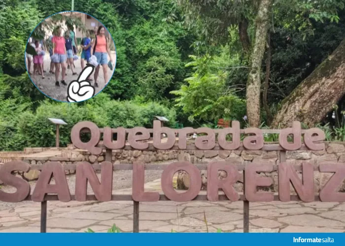 hortensias quebrada san lorenzo