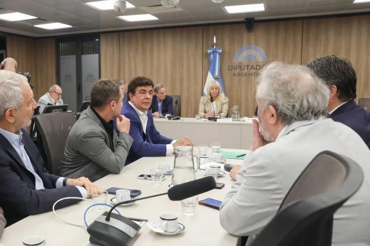 diputados intendentes