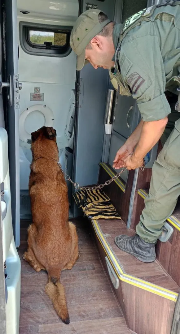 trancas_droga_cocaína 2