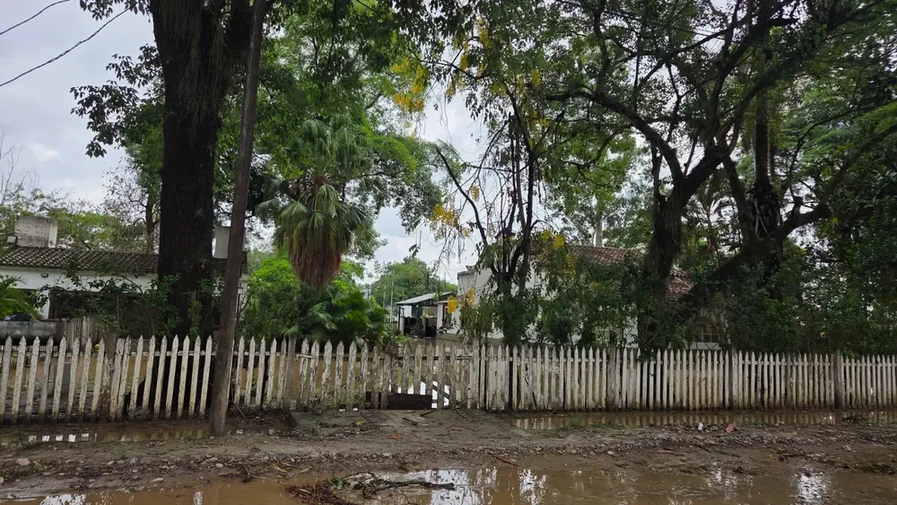 WhatsApp Image 2025-12-02 at 11.13.43