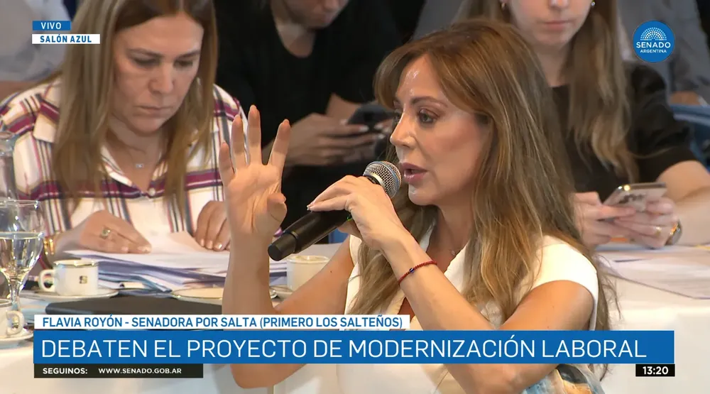 flavia royón senado modernización laboral
