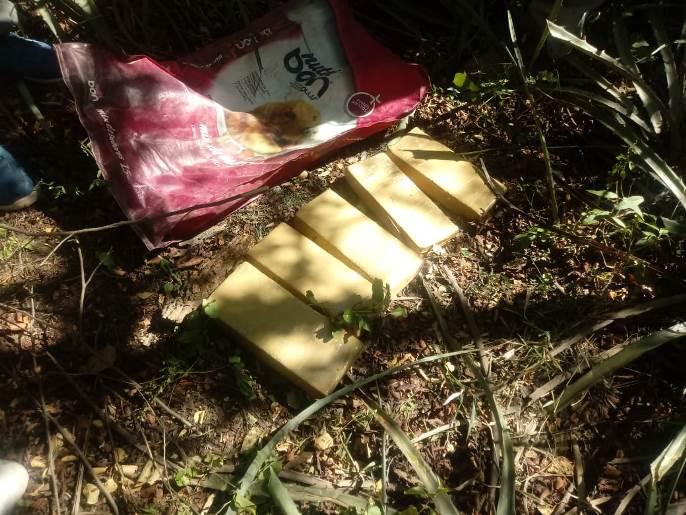 operativo marihuana (2)