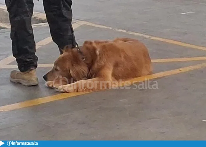 WhatsApp Image 2025-04-14 at 10.06.52